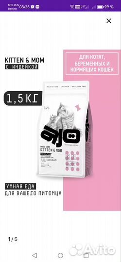 Корм для котят