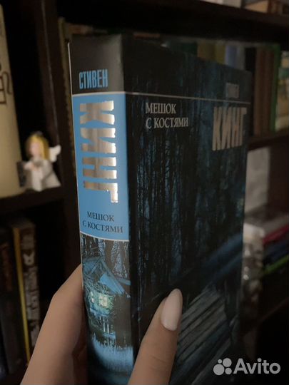 Стивен Кинг «Мешок с костями»