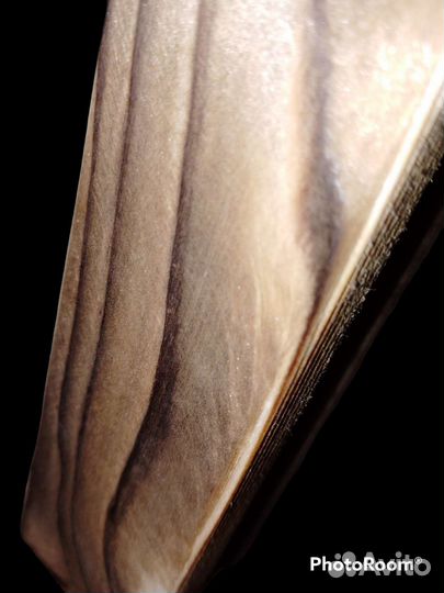 Мольберт Лира