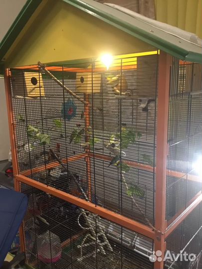 Яркий вольготный Вольер для птиц 1м75 см х 90 см х