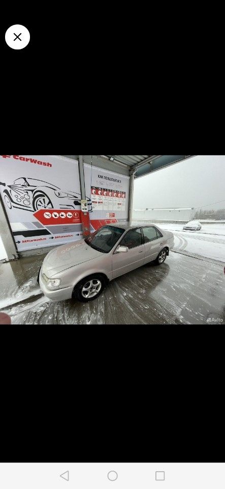 Toyota Corolla: фото владельца