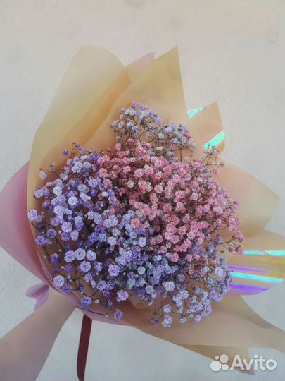 Гипсофила Букеты Цветы