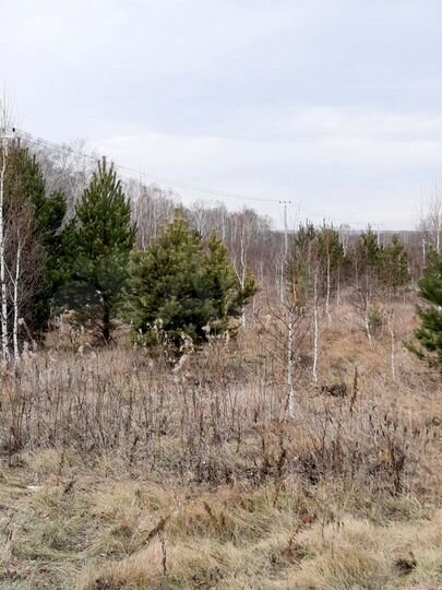 Участок 9,5 га (ИЖС)