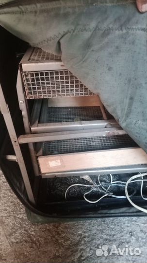 Инкубаторы тгб 2шт