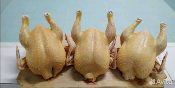 Куры бройлеры Индюки