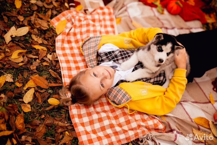 Фотосессия с хаски на улице