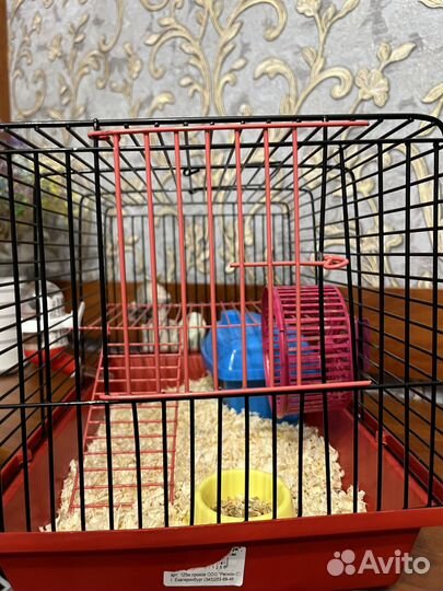 Джунгарский хомяк с клеткой