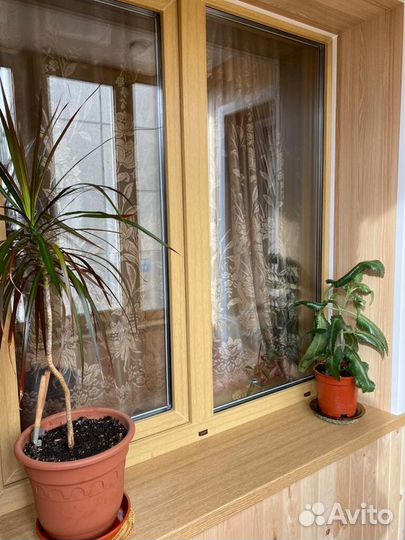 Балконы, лоджии