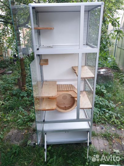 Витрина для шиншилл