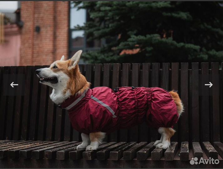 Комбинезон для собаки
