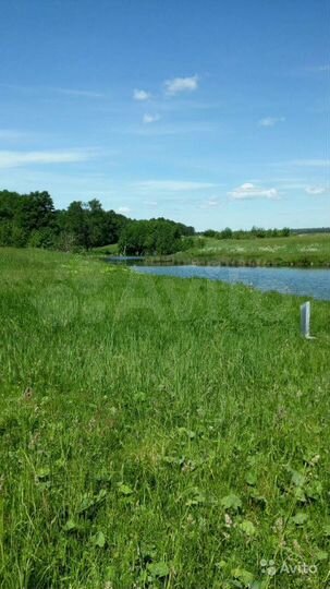 Участок 10 сот. (ИЖС)