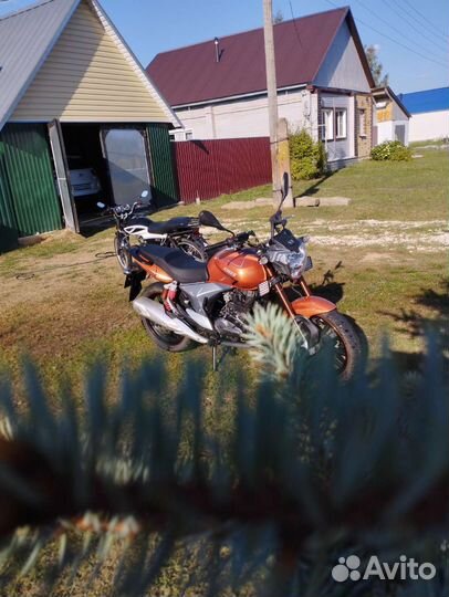 Stels flame 200
