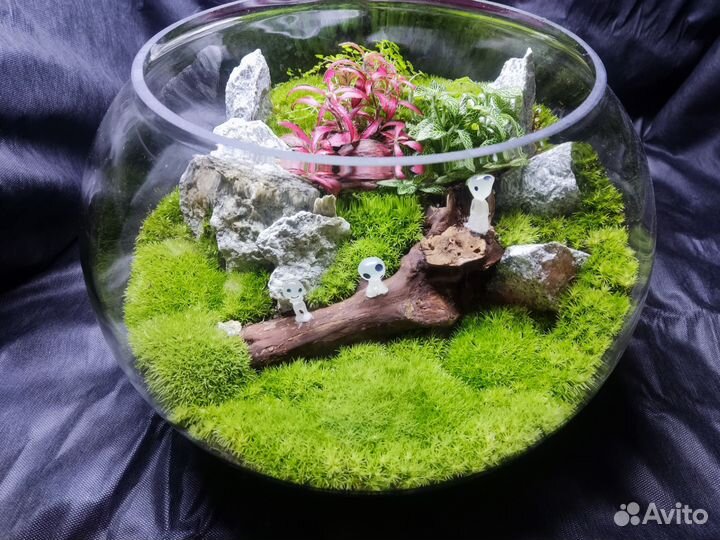 Флорариум 1