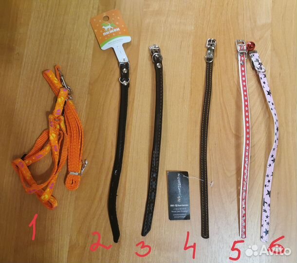 Обувь, шлейка, ошейник для маленьких собак