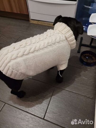 Свитер для собаки