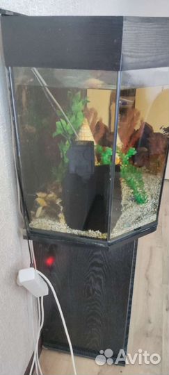 Аквариум с тумбой 300 литров
