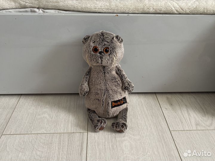 Коты басики