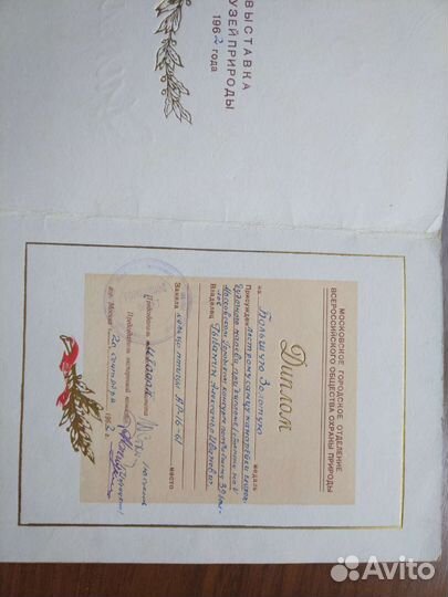 Большая золотая медаль с документами