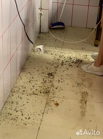 Уничтожение тараканов клопов блох дезинфекция