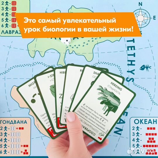 Настольная игра правильные игры Эволюция. Подарочн