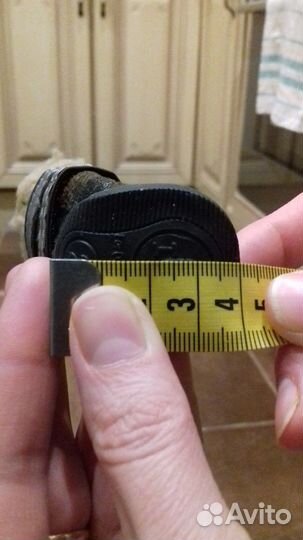 Обувь для собак