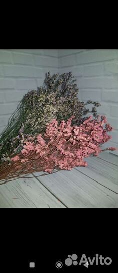 Лимониум стабилизированный