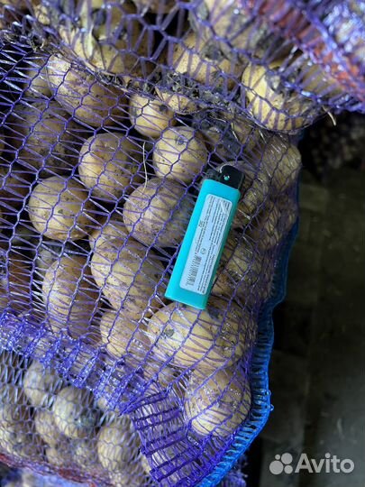 Картофель для животных