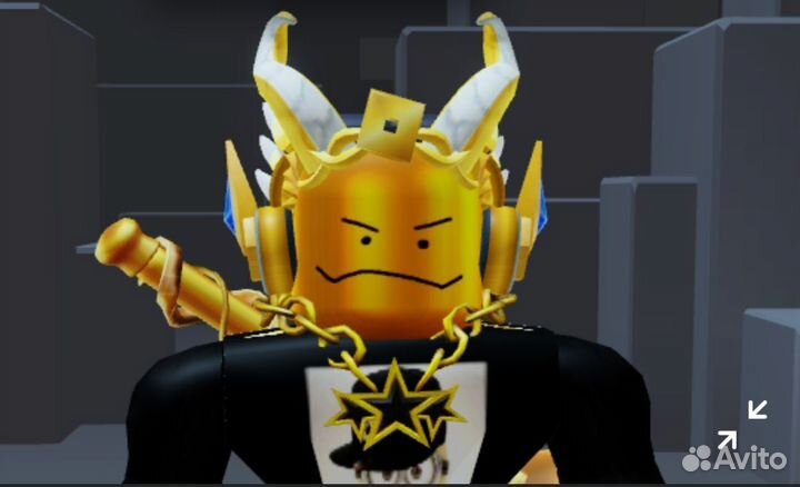 Тренер по roblox