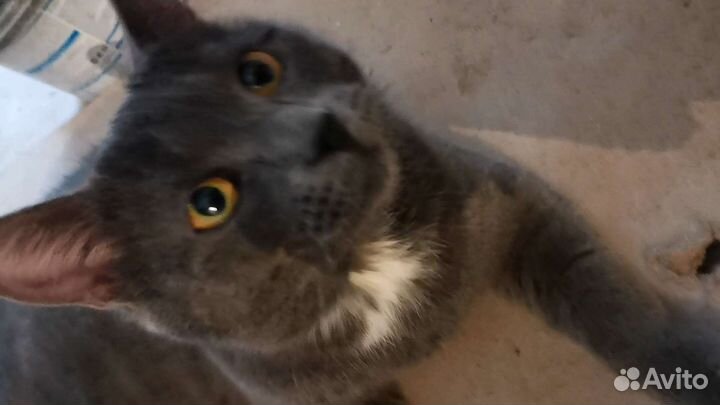 Забракован, но не сломлен