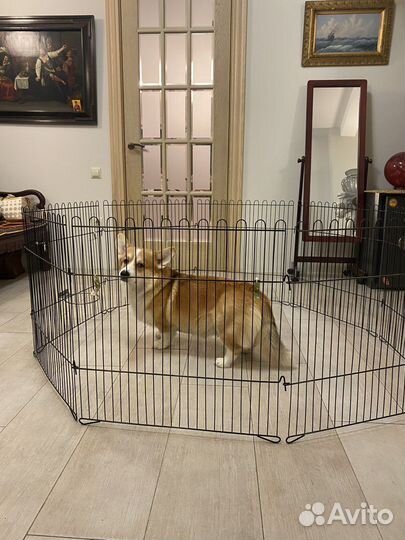 Вольер для собак