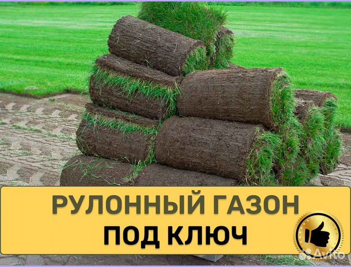 Рулонный газон стандартный под ключ