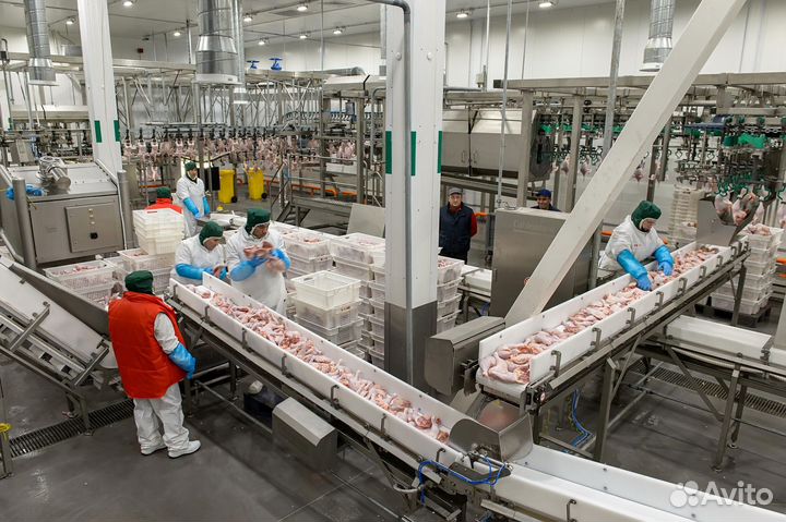 Работа без опыта.Упаковщик полуфабрикатов.Вахта 20