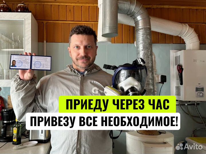 Уничтожение тараканов обработка от клещей