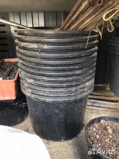 Горшки для растения