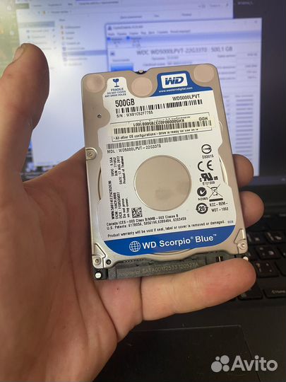 WD Blue 500gb