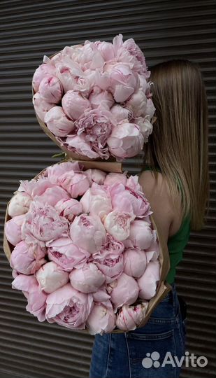 Букеты из Пионов 51 101 Пион с доставкой