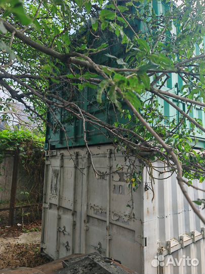 Контейнер зерновоз