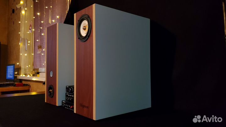 Акустическая система 