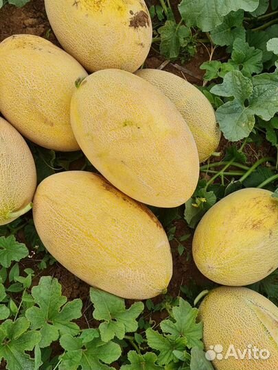 Продукты питания оптом