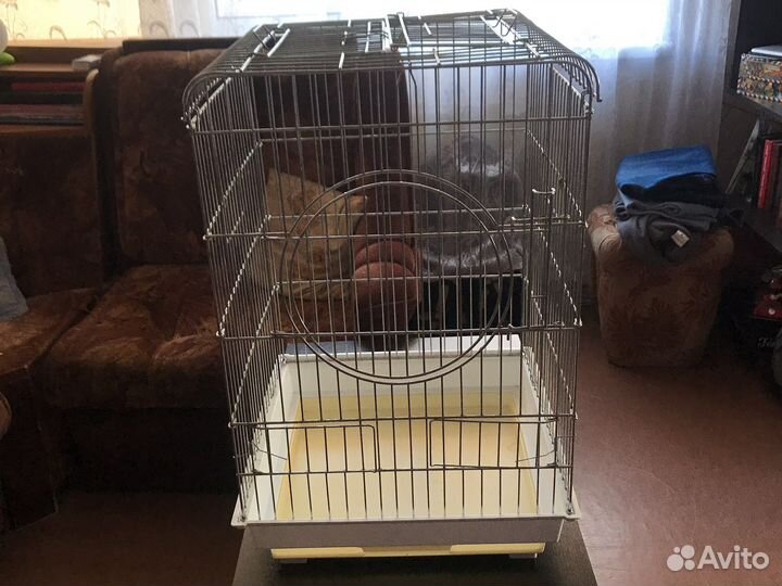 Клетка для попугая