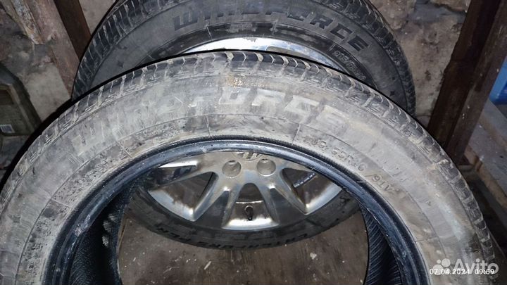 Windforce Catchfors Max 205/55 R16 94V