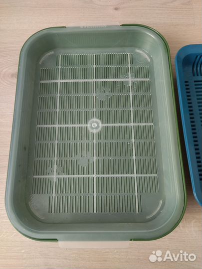 Все для кошек: лоток, миска, наполнитель