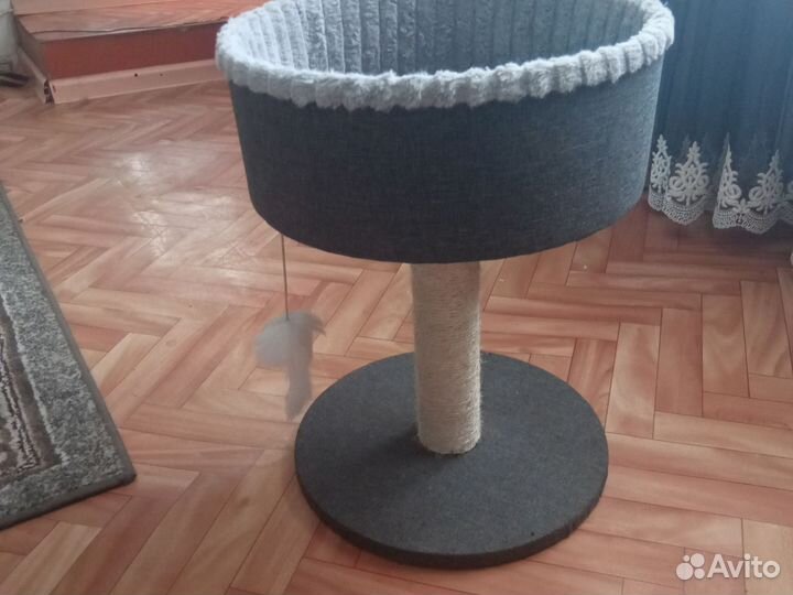 Когтеточка столбик