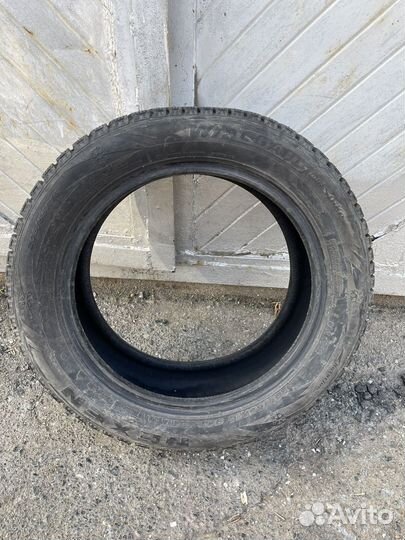 Nexen Winguard 205/55 R16