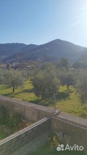 Продам доски