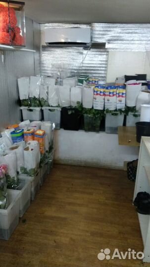 Розы оптом и в розницу