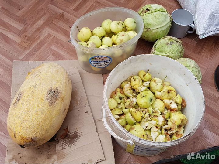 Утки на мясо