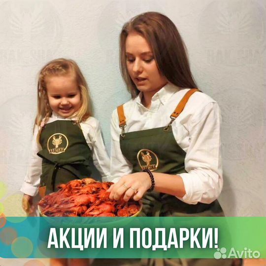 Анадара живые моллюски