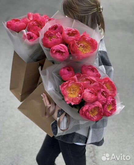 Пионы букет пионов