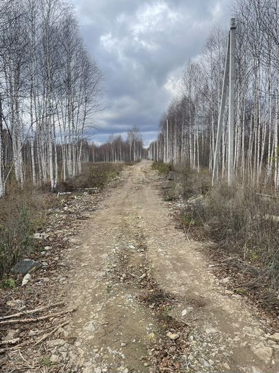 Участок 11 сот. (СНТ, ДНП)
